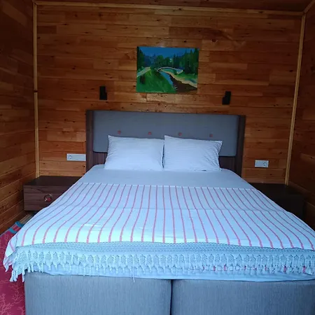 Tatil Evi Arlin Kemer