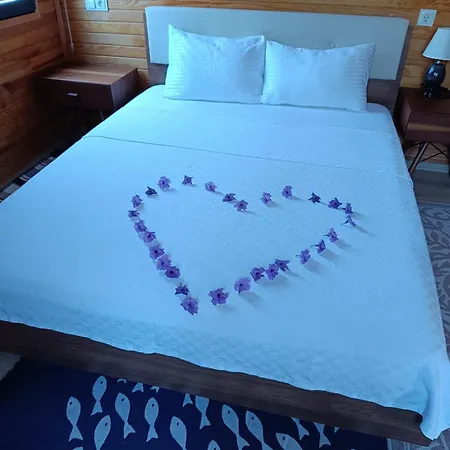 Tatil Evi Arlin *
