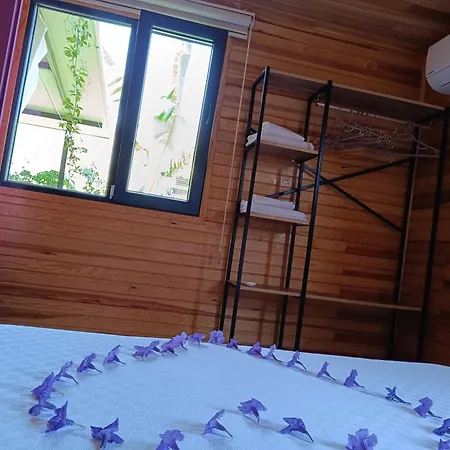 Tatil Evi Arlin *
