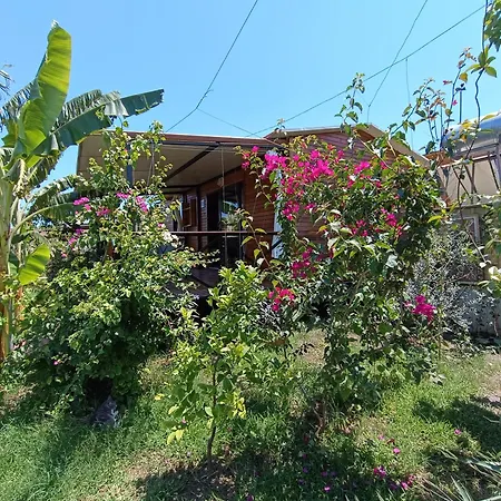Arlin Tatil Evi