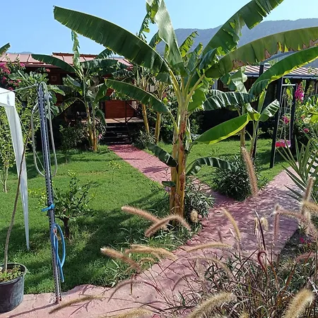 Tatil Evi Arlin Kemer